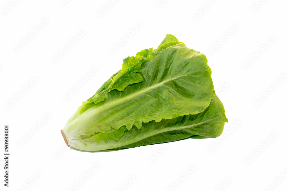 Butterhead salad isolated on white background Butterhead salad isolated on white background