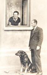 Old photo depicting senior couple and dog