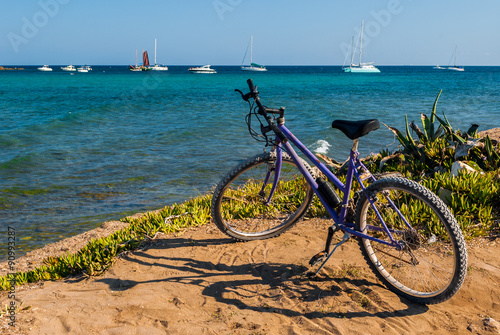Purple bicycle near the coastline with sea and boats in the background