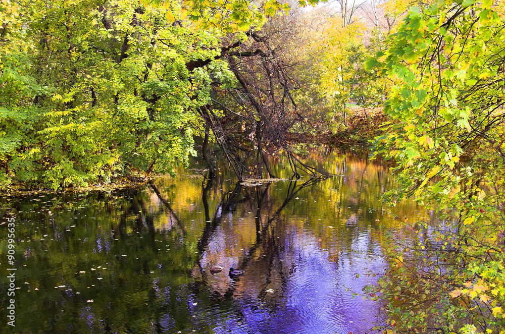 Lake, autumn, Kaliningrad Lake, autumn, Kaliningrad