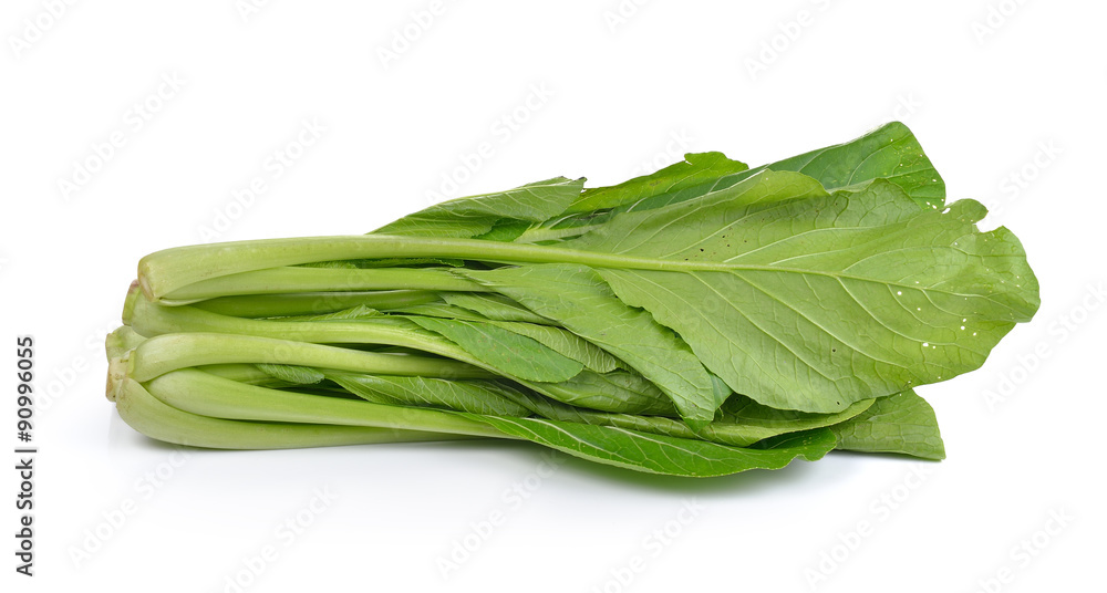 Chinese mustard green on white background (Nontoxic) Chinese mustard green on white background (Nontoxic)