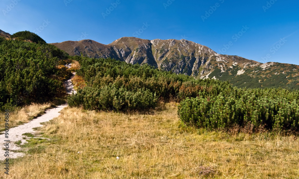 summer hiking in Rohace mountains with amazing panorama of peaks with clear sky