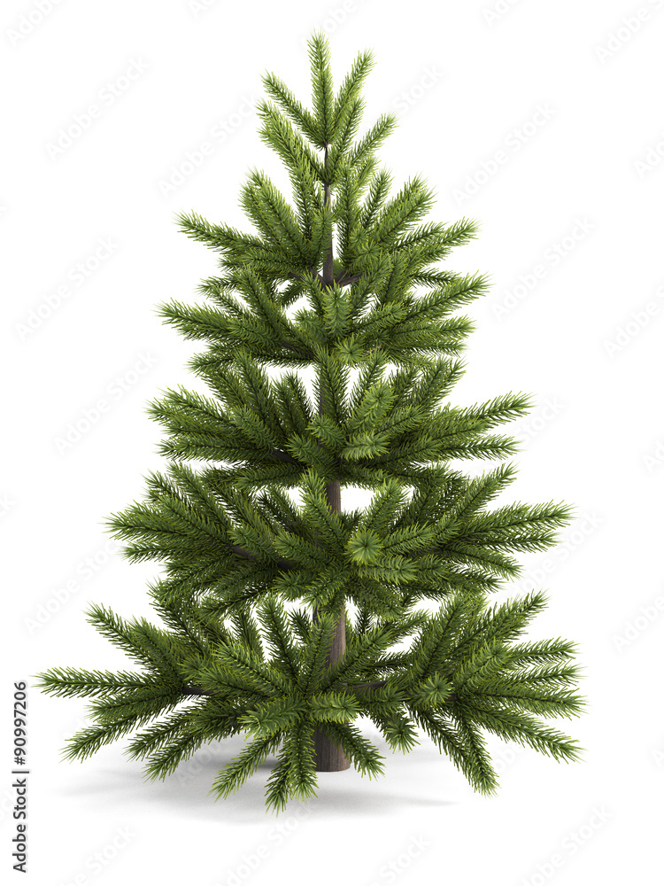 Christmas tree on a white background.