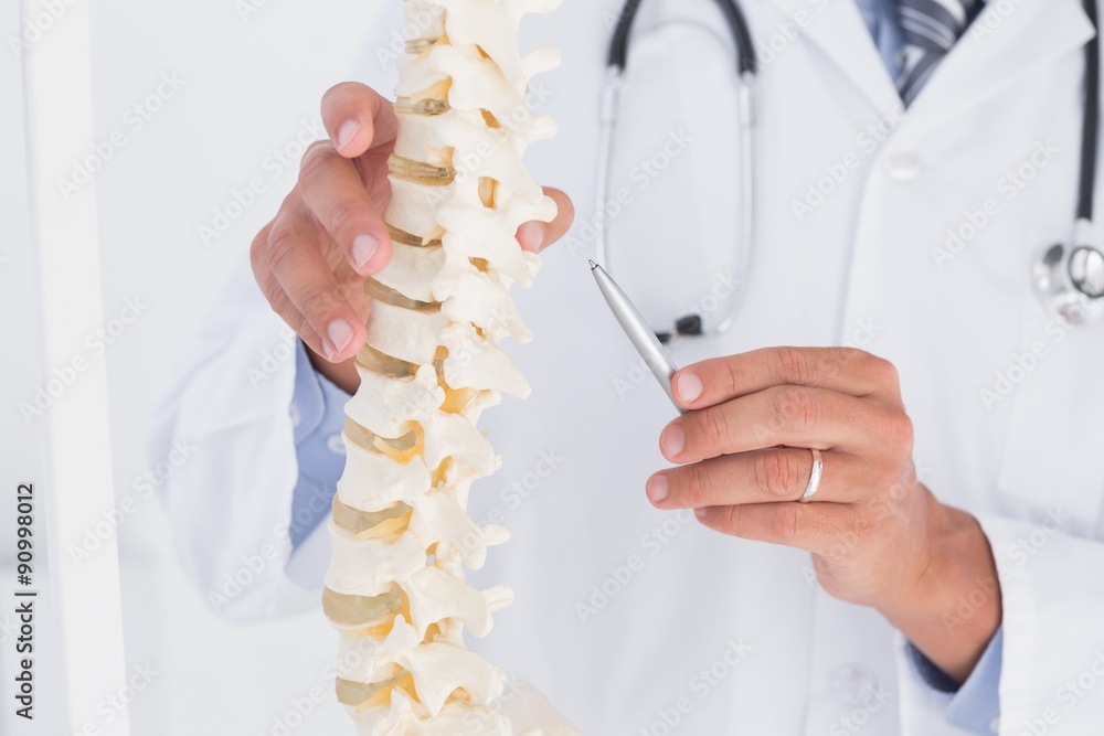 Doctor showing anatomical spine Doctor showing anatomical spine