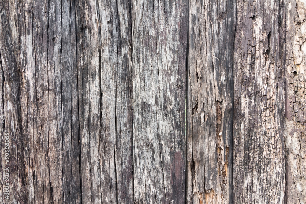 wood texture. background old panels wood texture. background old panels