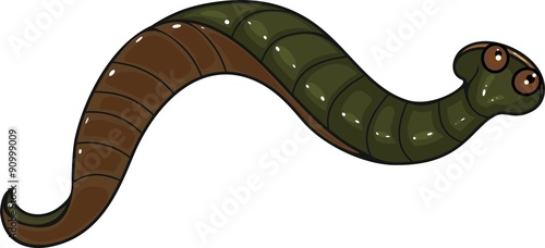 Leech on white background