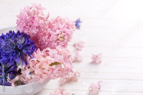 Fototapeta Naklejka Na Ścianę i Meble -  Hyacinths flowers  on white background