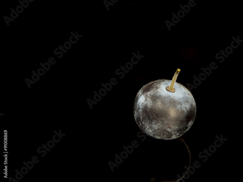 Sloe,Prunus spinosa - blackthorn on a black background photo