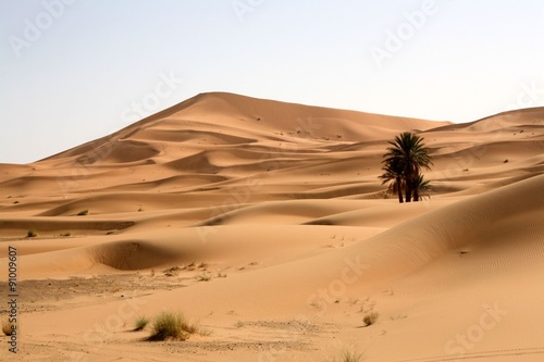 Maroc  Sahara  les dunes