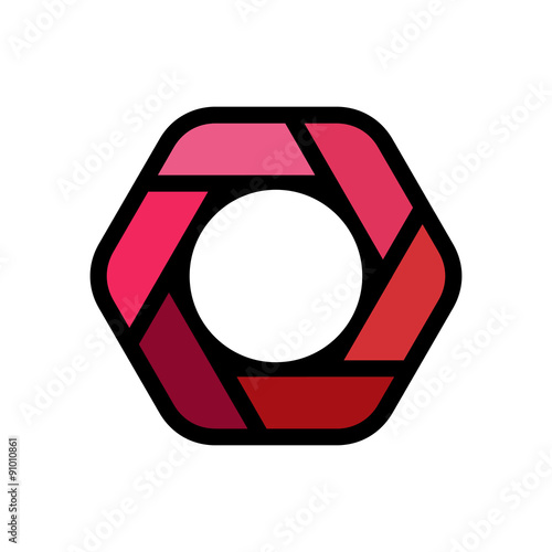 Pink - Red Camera Luxury Icon