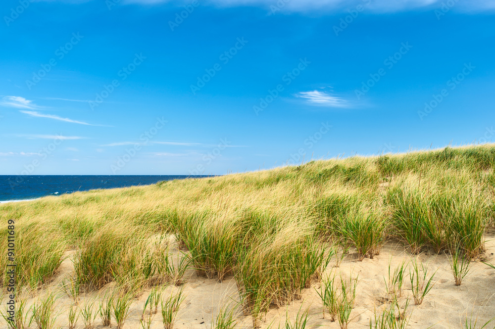 Landscape with sand dunes at Cape Cod