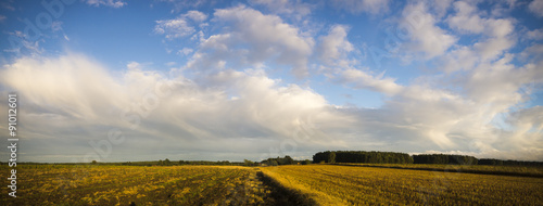 Piękne burzowe chmury nad polem