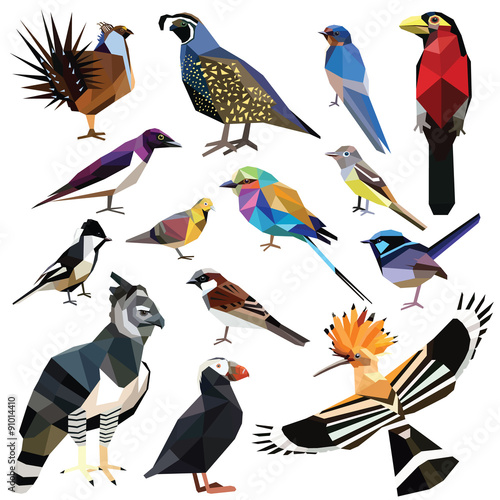 Birds-set colorful birds low poly design isolated on white background.
Swallow,Barbet,Flycatcher,Harpy,Hoopoe,Sparrow,Roller,Quail,Wren,Sage Grouse,Puffin,Starling,Tit,Pigeon.