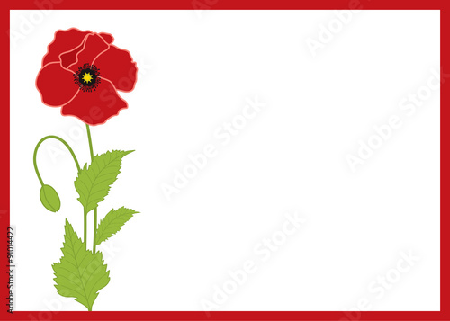 Fototapeta Naklejka Na Ścianę i Meble -  Poppy card template