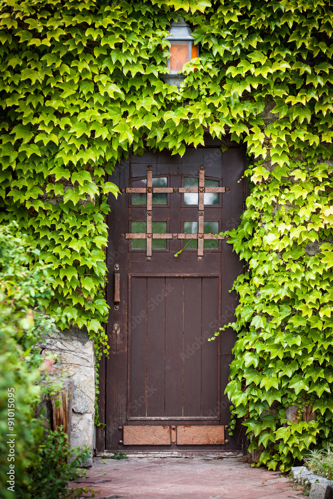 Wooden door with green leaves