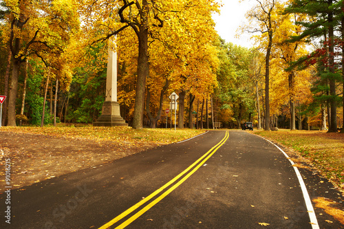 Autumn scene with road in forest © haveseen