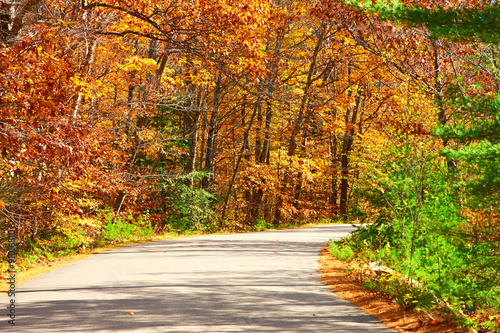 Autumn scene with road © haveseen