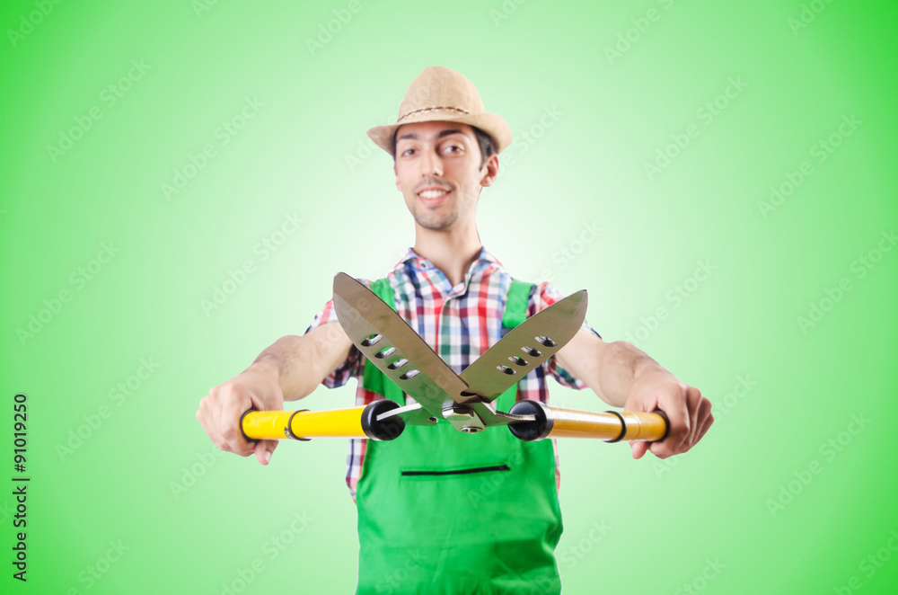 Man gardener with shears on white Man gardener with shears on white