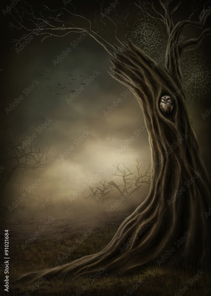 Fototapeta premium Dark forest