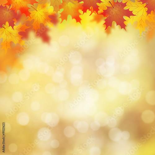 Beautiful autumn season blurred background with colorful maple leaves background and with copy space. Colorful autumn season background illustration.