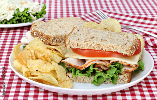Turkey, Lettuce, Tomato and Cheese Sandwich on Whole Grain Bread