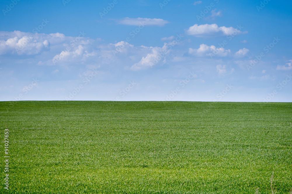 Summertime simple meadow landscape Summertime simple meadow landscape