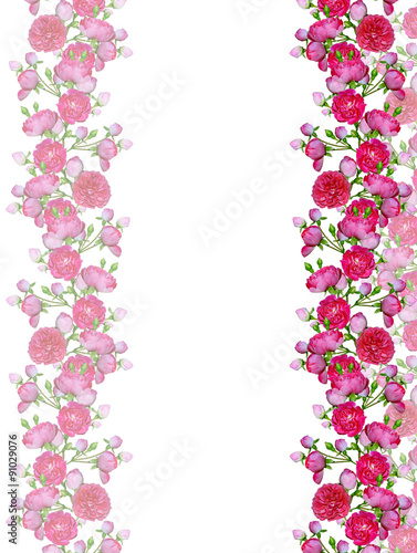 Wallpaper Mural Dog rose (Rosa canina) flowers on a white background Torontodigital.ca