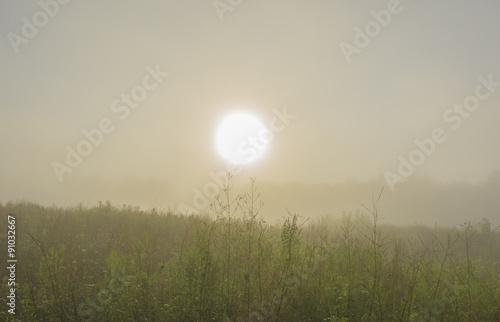 Sunrise shrouded in dense fog. 