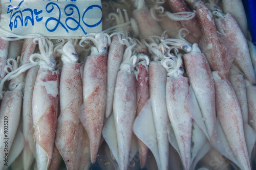 Fresh squid