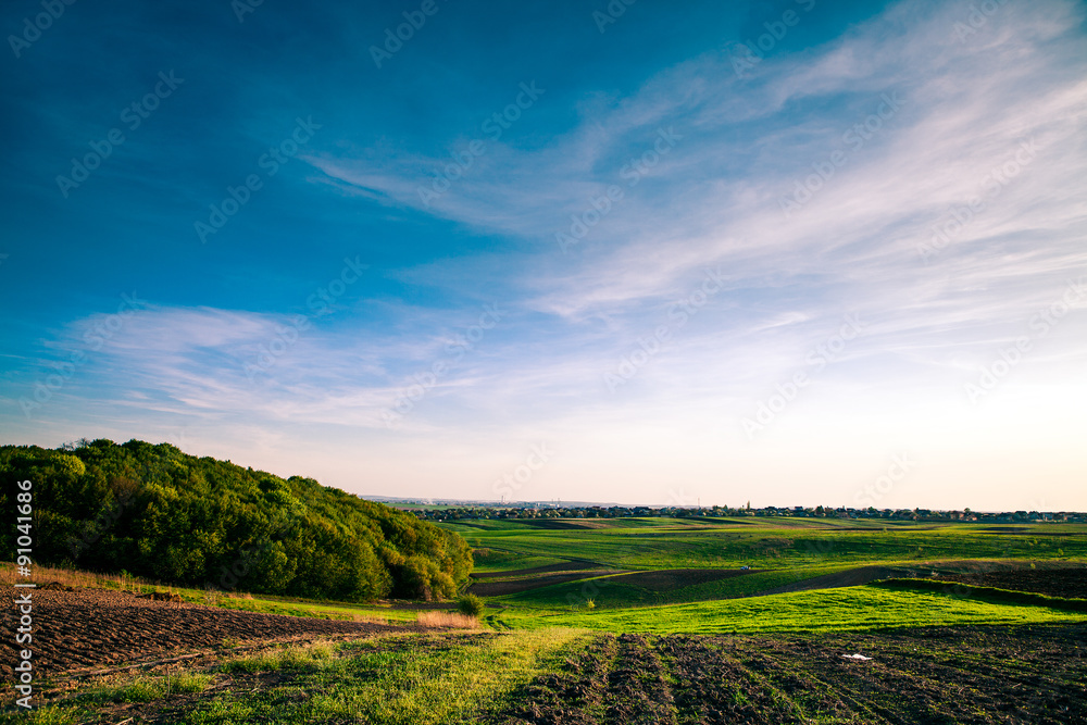 Obraz premium Green Field