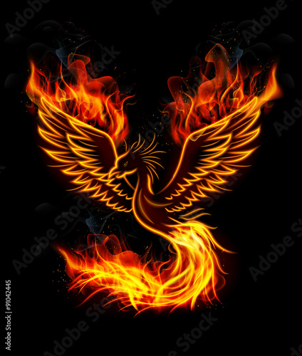Fire burning Phoenix Bird with black background photo