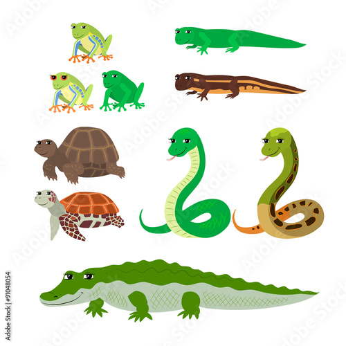Fototapeta Naklejka Na Ścianę i Meble -  Cartoon set tree frog newt aquatic turtle snake crocodile