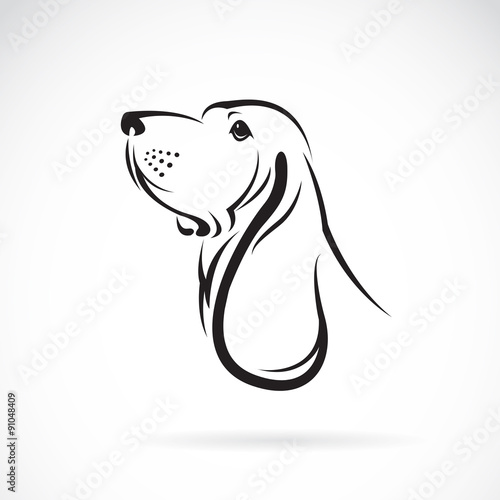 Tablou canvas Vector of a basset hound head on white background. Pets. Animals.