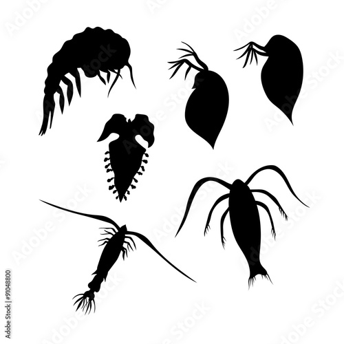 Plankton vector silhouettes. photo