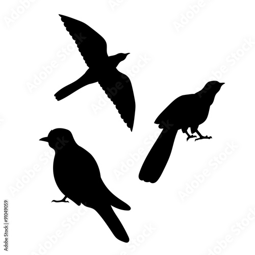Schilderij op canvas Cuckoo bird vector silhouettes.