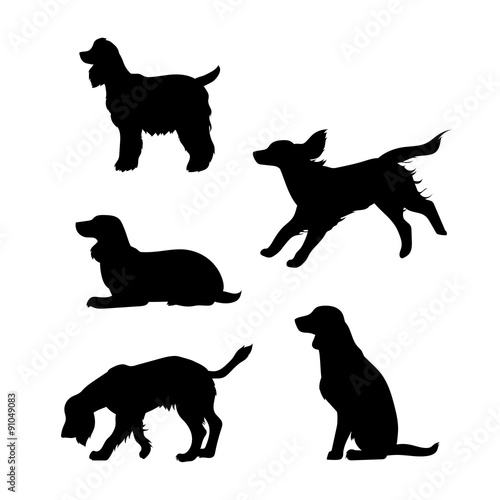 Billede på lærred Breed of a dog Cocker Spaniel vector silhouettes.