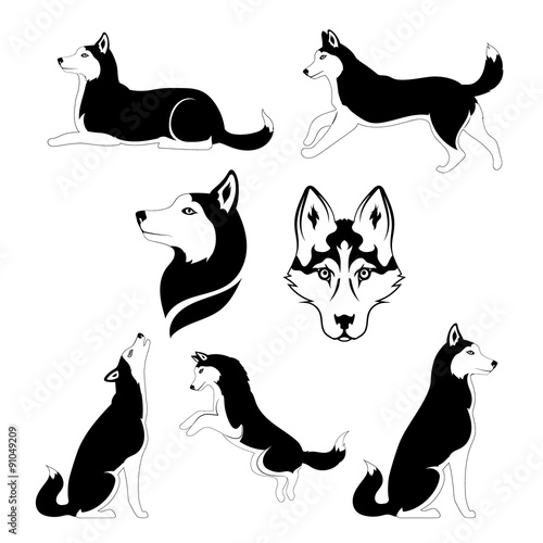 Graphic silhouette of a dog of breed siberian husky.