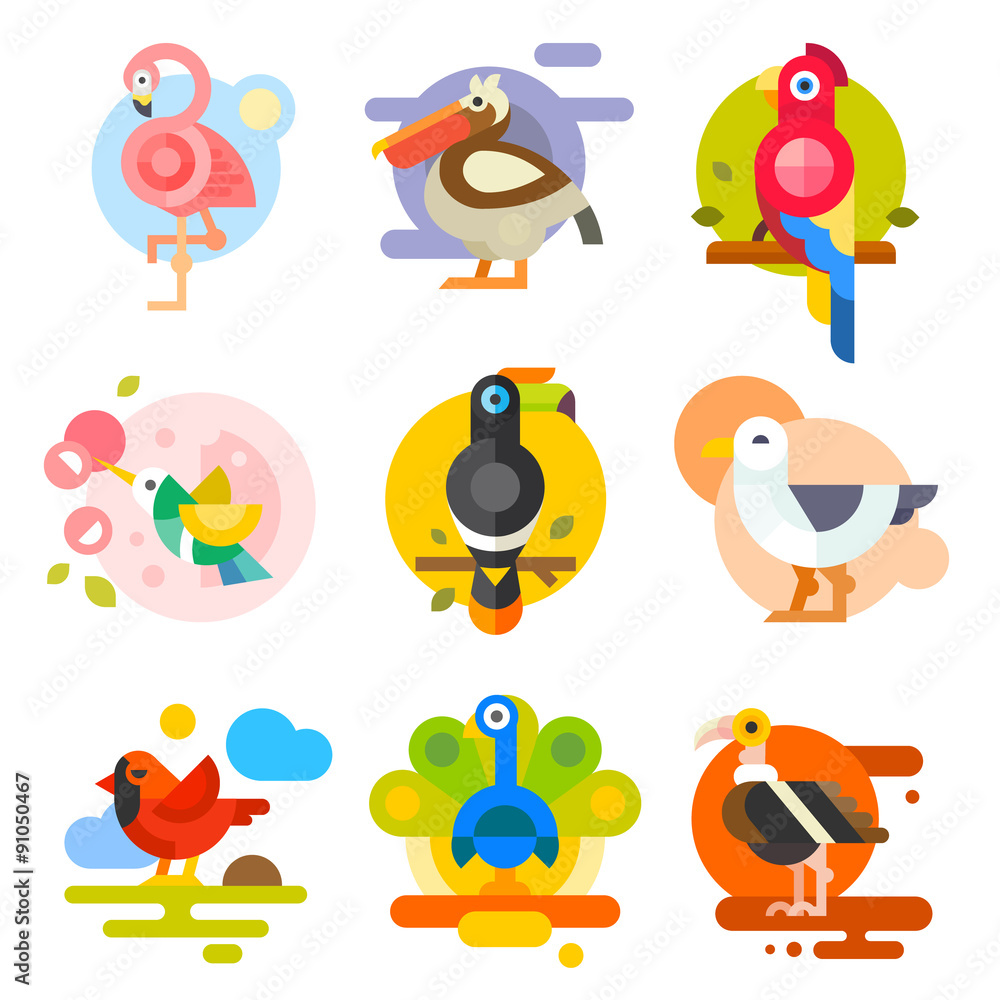 Obraz premium Different birds: pelican, flamingo, toucan, parrot, hummingbird, eagle, seagull, peacock. Vector flat Illustrations 