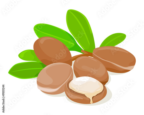 Argan seeds and leaves.