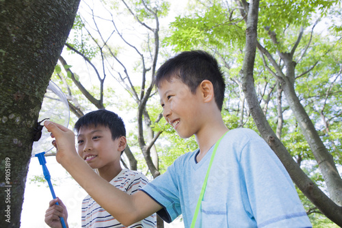 カブトムシを採る小学生