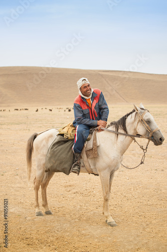 Shepherd on horseback