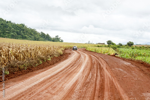 Rural landscape with dirt road between corn fields