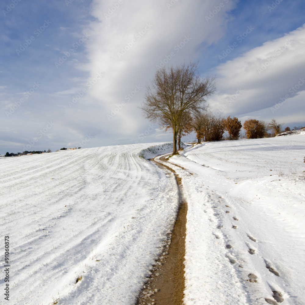 Winter Landscape Winter Landscape