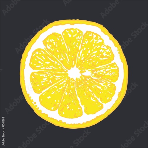 Lemon Slice Vector 