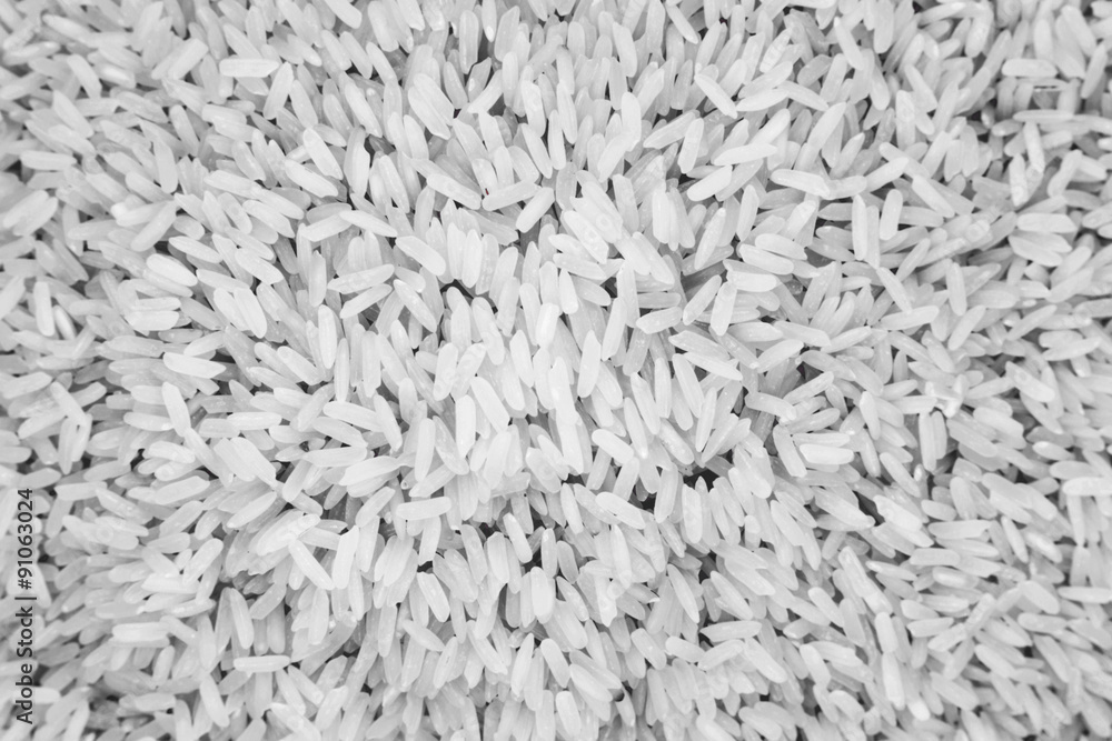 thai raw rice isolated white background thai raw rice isolated white background