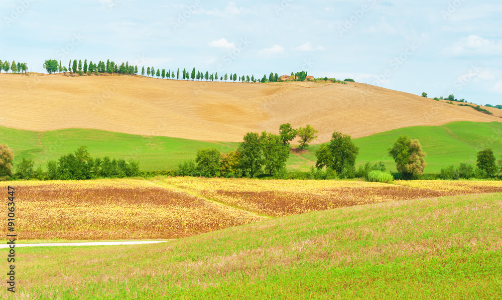 Countryside landscape in Tuscany, Italy.