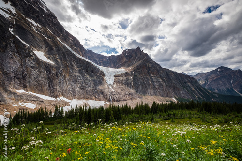 Cavell Meadows and Angel Glacier on Mt Edith Cavell in Jasper Na