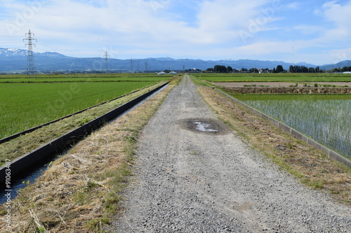 農道と田園風景／山形県の庄内地方で、農道と田園風景を撮影した写真です。 © FRANK