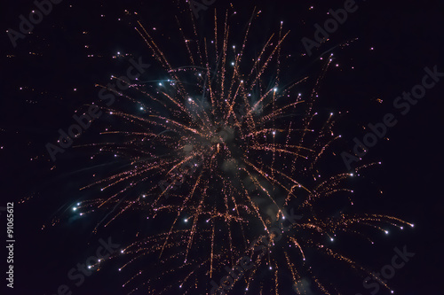 Fireworks bursting at night. 