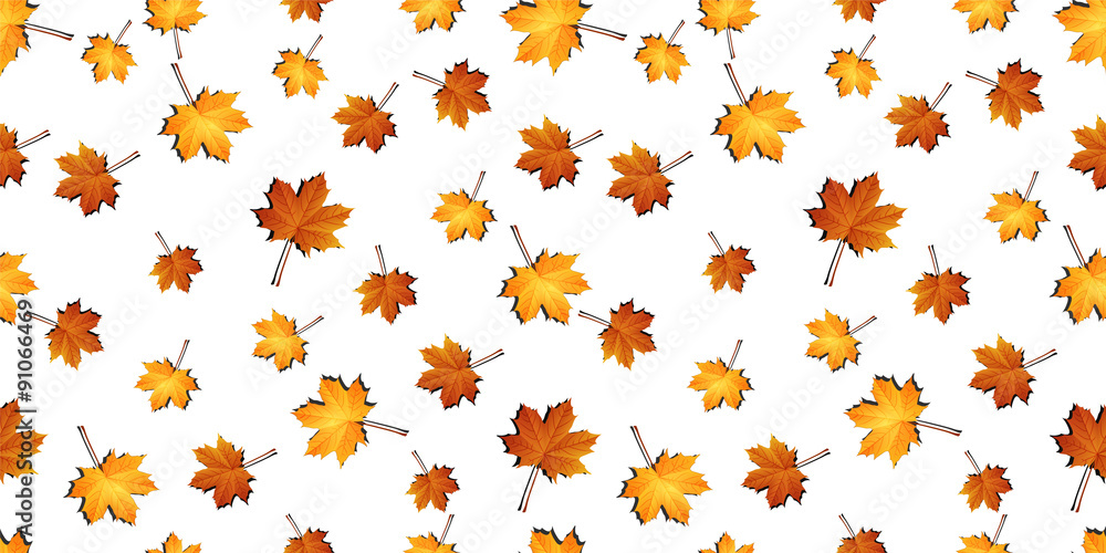Autumn maple leaves seamless pattern background Autumn maple leaves seamless pattern background